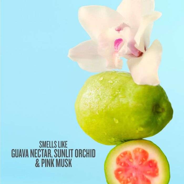 SOL DE JANEIRO CHEIROSA 48 MIST 240 ML