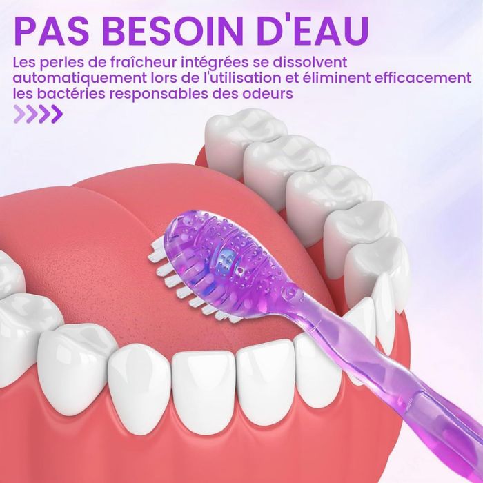 ASTRIVIXDD BOITE DE 12 MINI BROSSES A DENTS