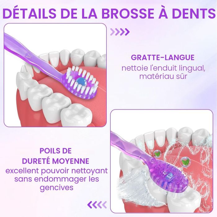 ASTRIVIXDD BOITE DE 12 MINI BROSSES A DENTS