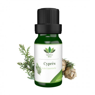 LOTUS BIO Huile essentielle de cyprès