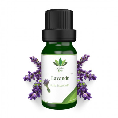 LOTUS BIO Huile essentielle de Lavande