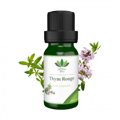 LOTUS BIO Huile essentielle de Thym Rouge