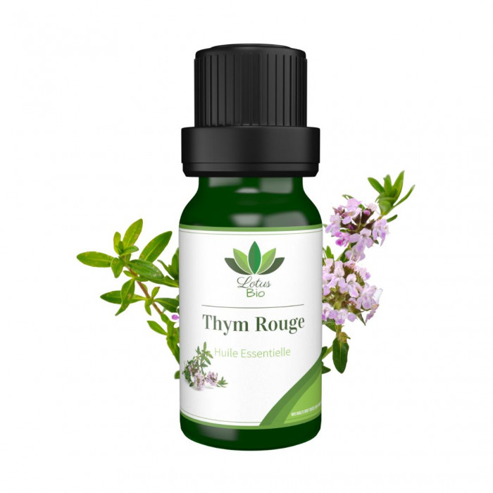 LOTUS BIO Huile essentielle de Thym Rouge