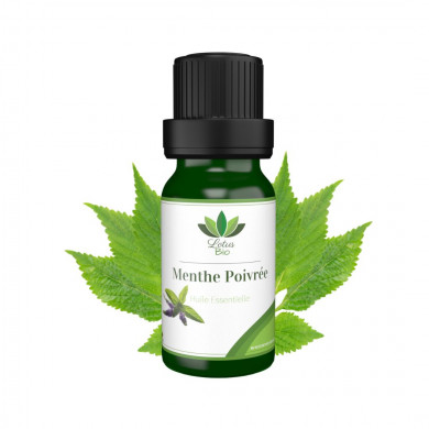 LOTUS BIO Huile essentielle de Menthe Poivrée