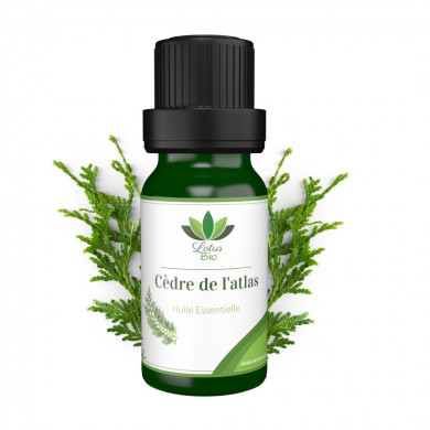 LOTUS BIO Huile essentielle de Cèdre de l’Atlas