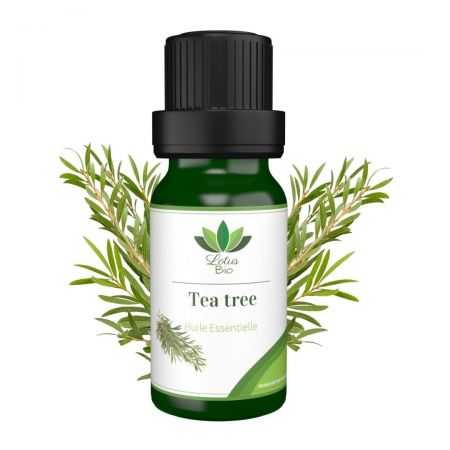 LOTUS BIO  HUILE ESSENTIELLE DE TEA TREE