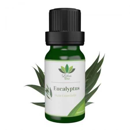 LOTUS BIO HUILE ESSENTIELLE D’EUCALYPTUS 
