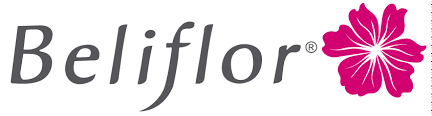 BELIFLOR
