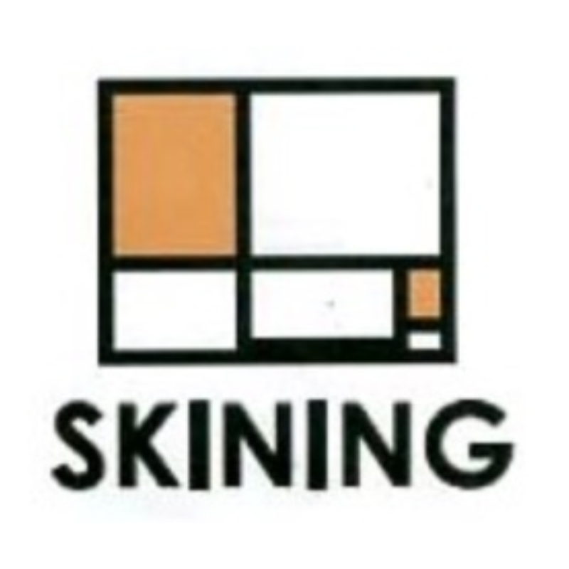 SKINING